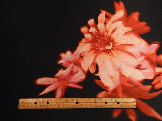Black and Red Dahlia Charmeuse