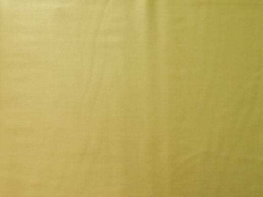 paintbrush studios pear green quilting fabric