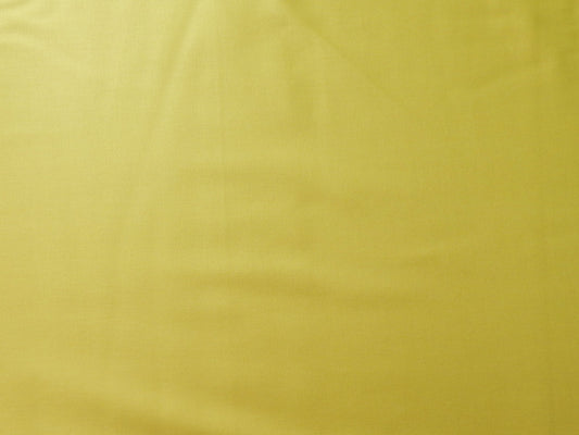 paintbrush studios sulfur light green quilting fabric