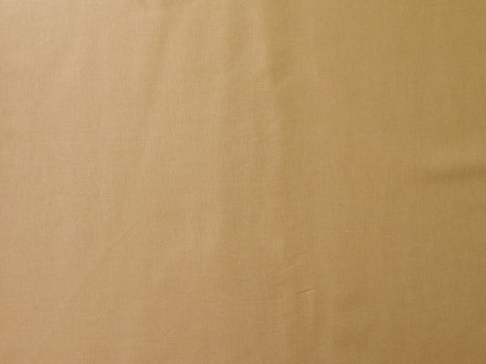 paintbrush studios tan quilting fabric