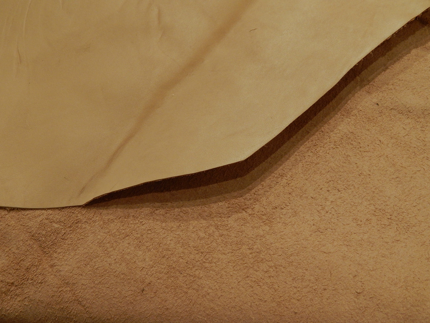 Tan Calfskin Leather - Paintbrush Studio