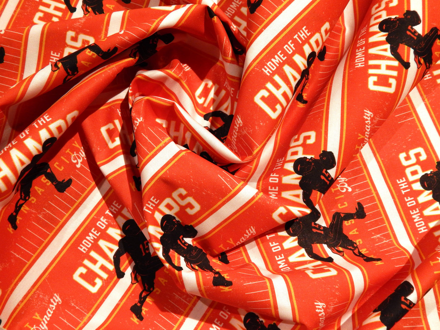 What a Catch: Home of the Champs - Paintbrush Studio