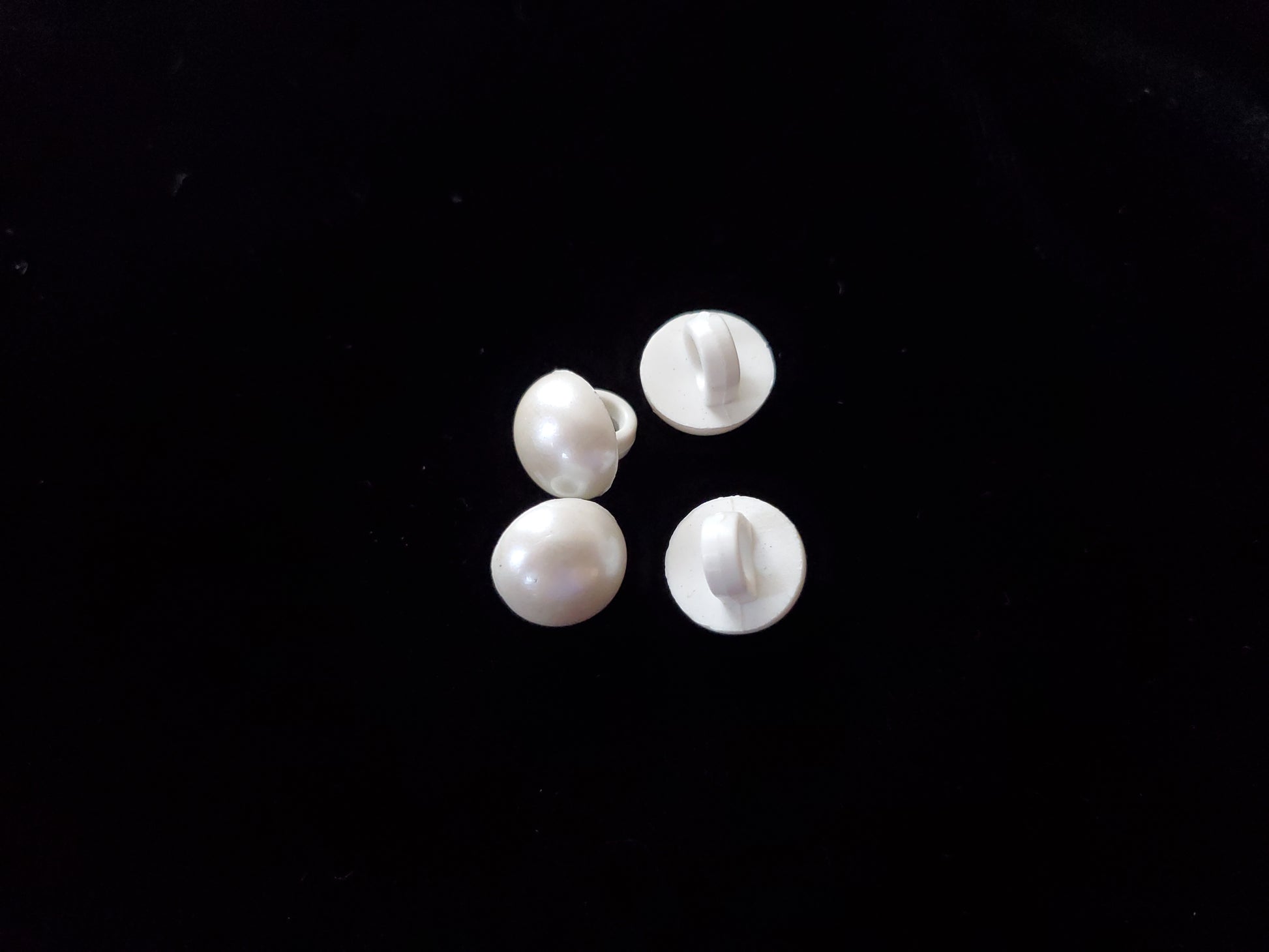 small white shank buttons