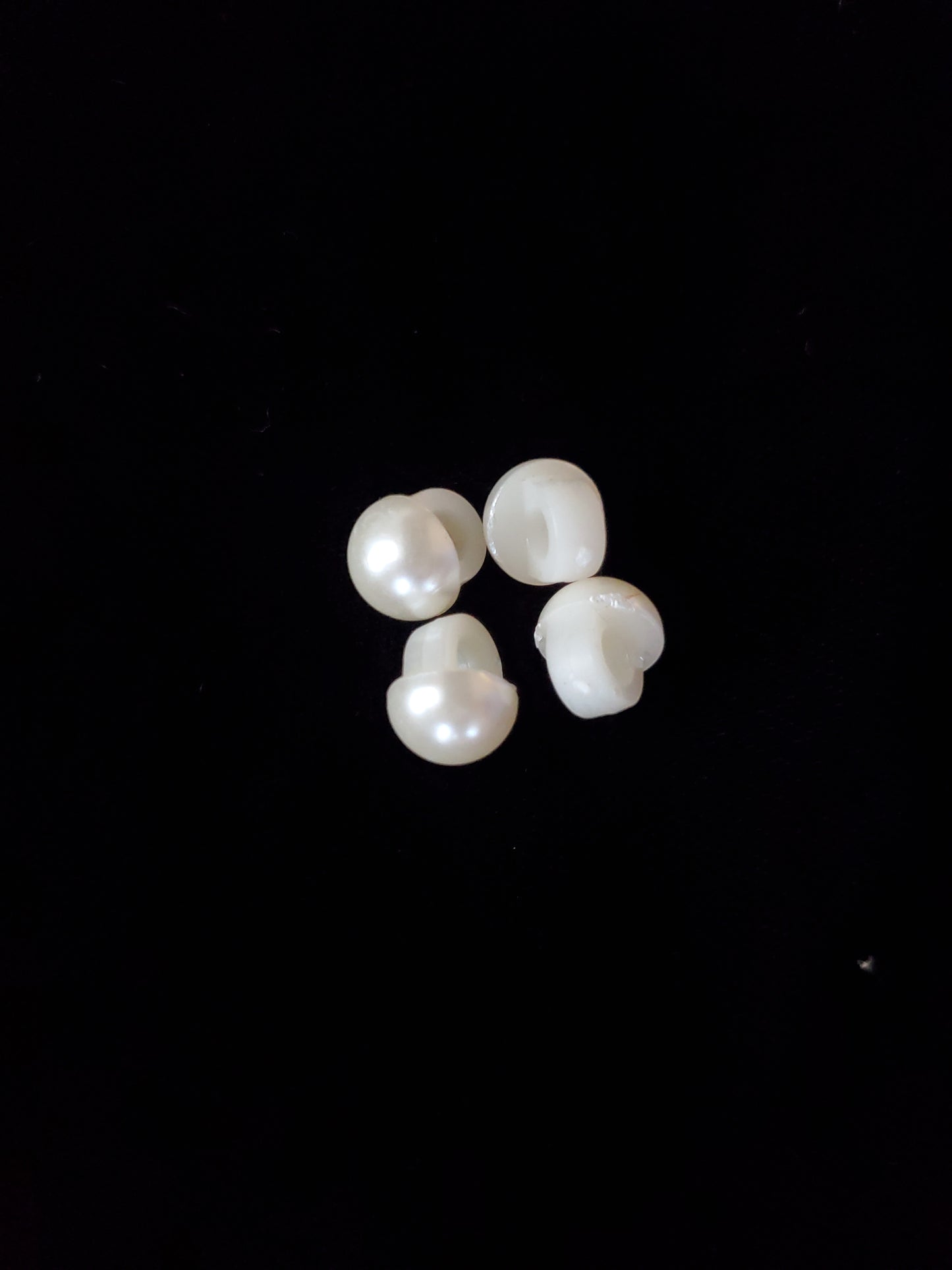 Pearl Shank buttons