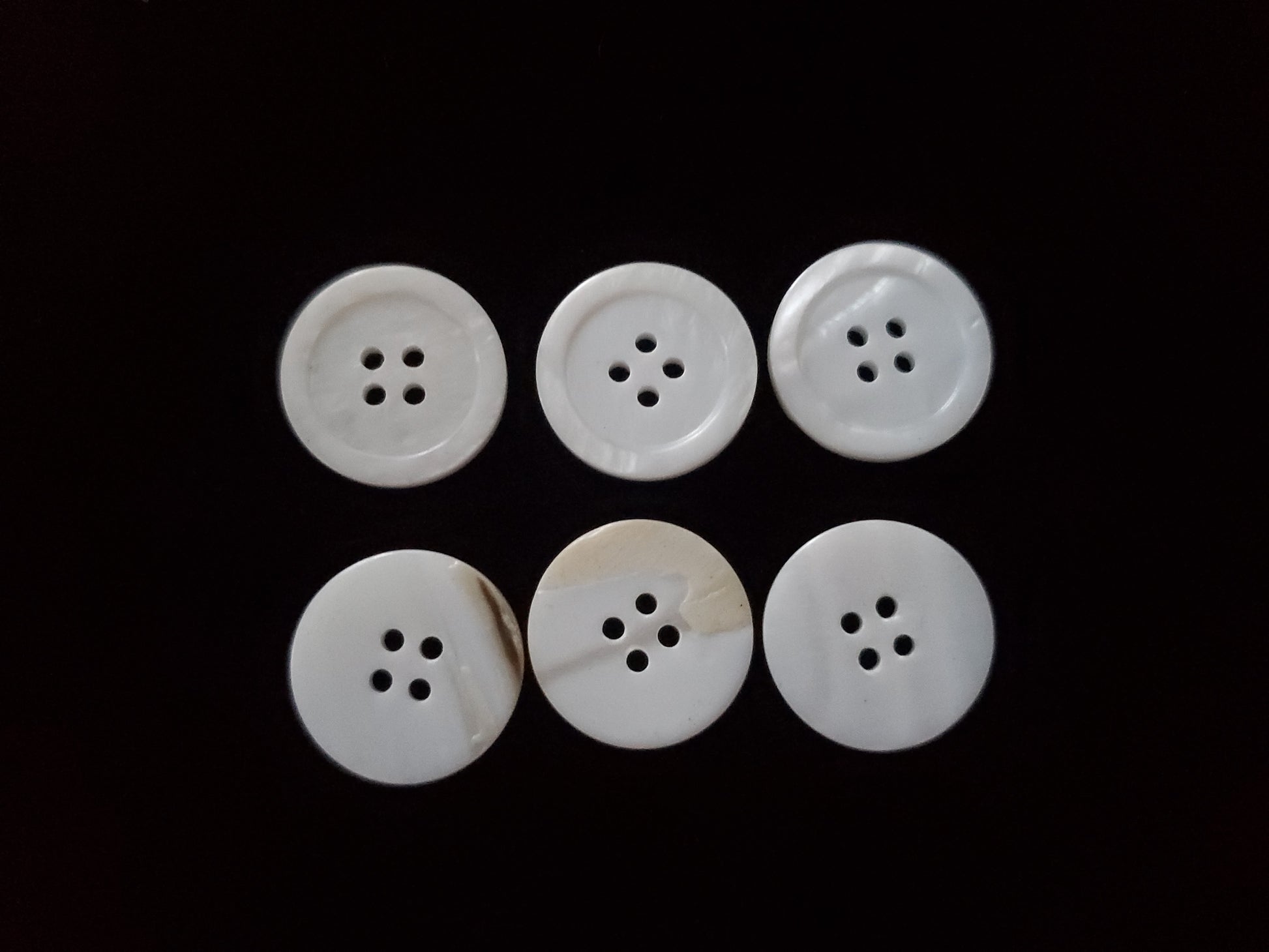 white seashell buttons
