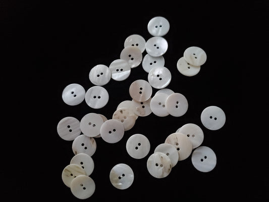 White seashell buttons