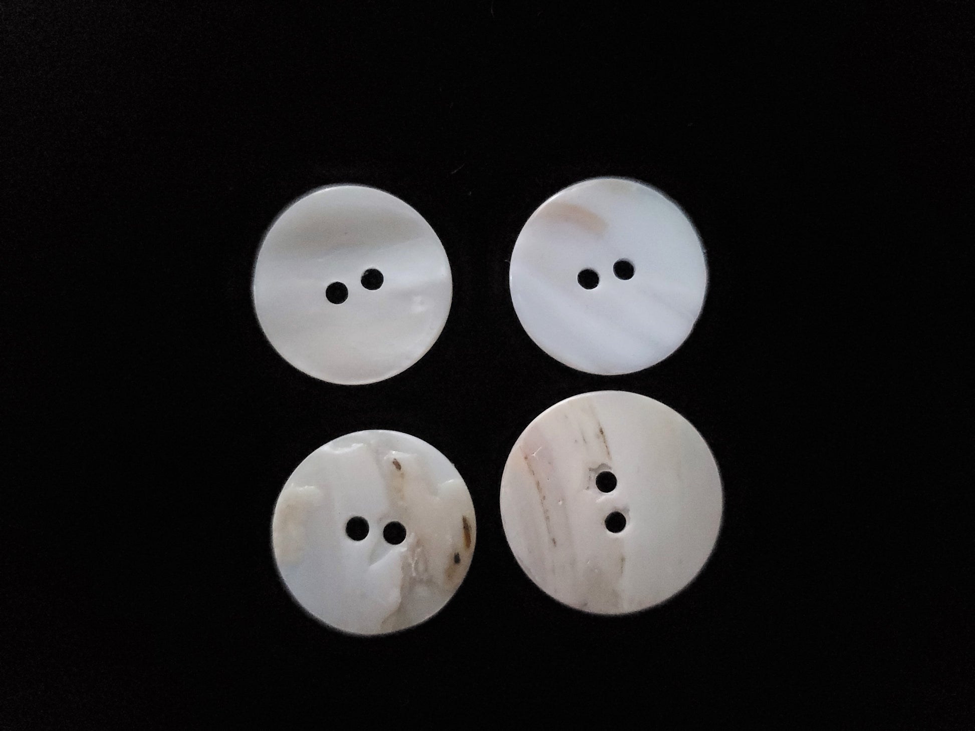 ivory shell buttons
