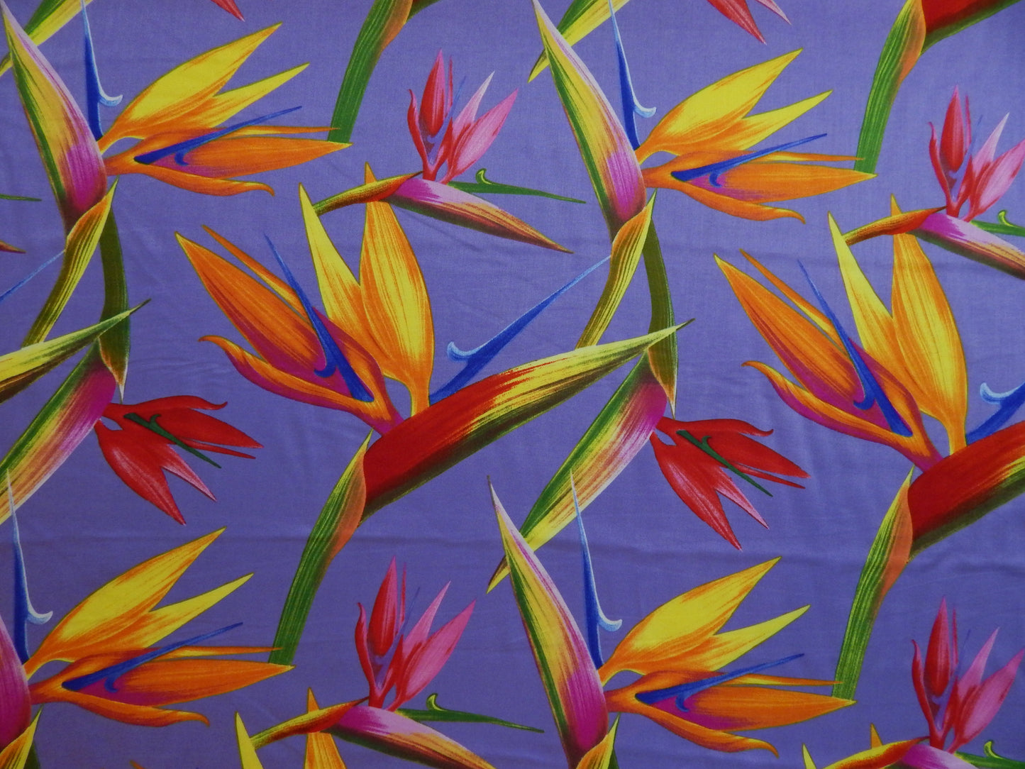 Birds of Paradise Fabric