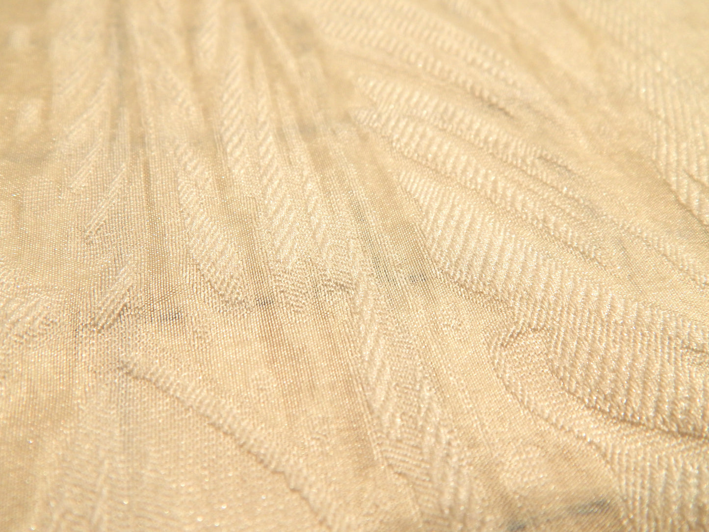 Seraphim Ivory Brocade