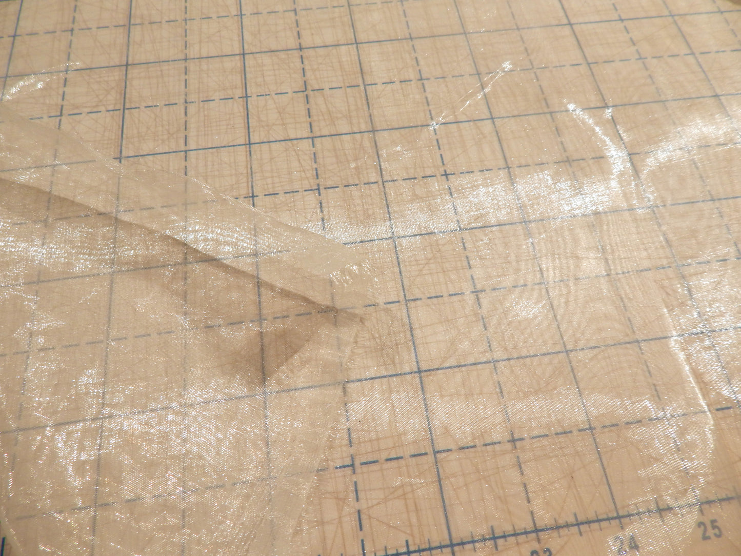 Ivory Mirror Organza