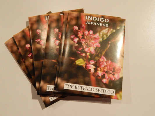 Grow Your Own Natural Dye/Fiber Seeds - Buffalo Seed Company