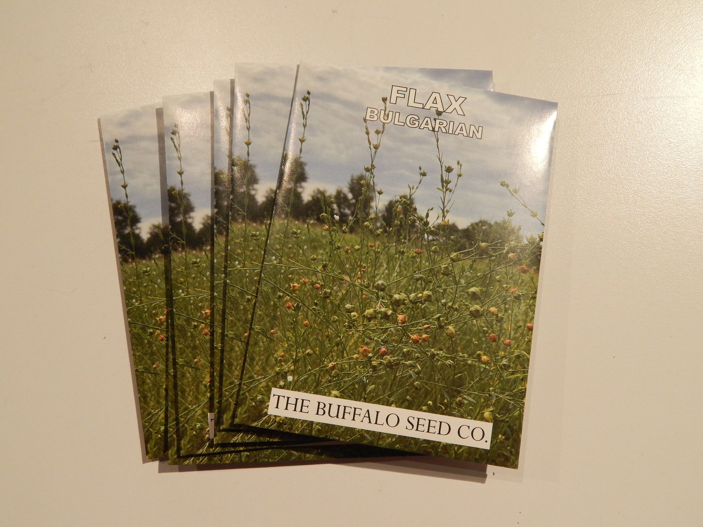 Grow Your Own Natural Dye/Fiber Seeds - Buffalo Seed Company