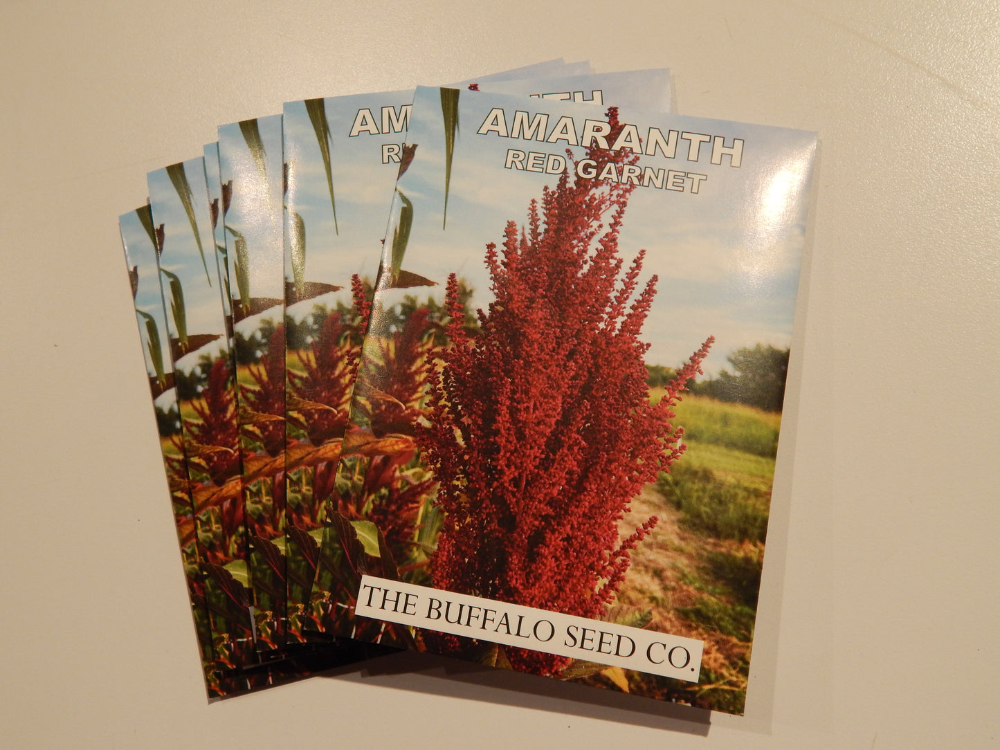 Grow Your Own Natural Dye/Fiber Seeds - Buffalo Seed Company