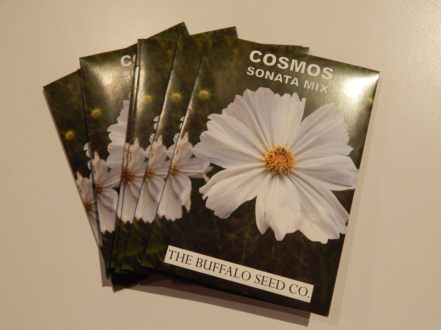 Grow Your Own Natural Dye/Fiber Seeds - Buffalo Seed Company