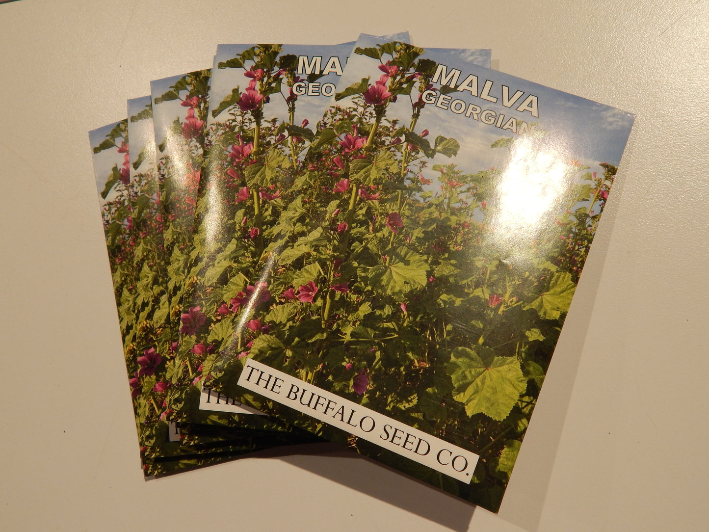 Grow Your Own Natural Dye/Fiber Seeds - Buffalo Seed Company