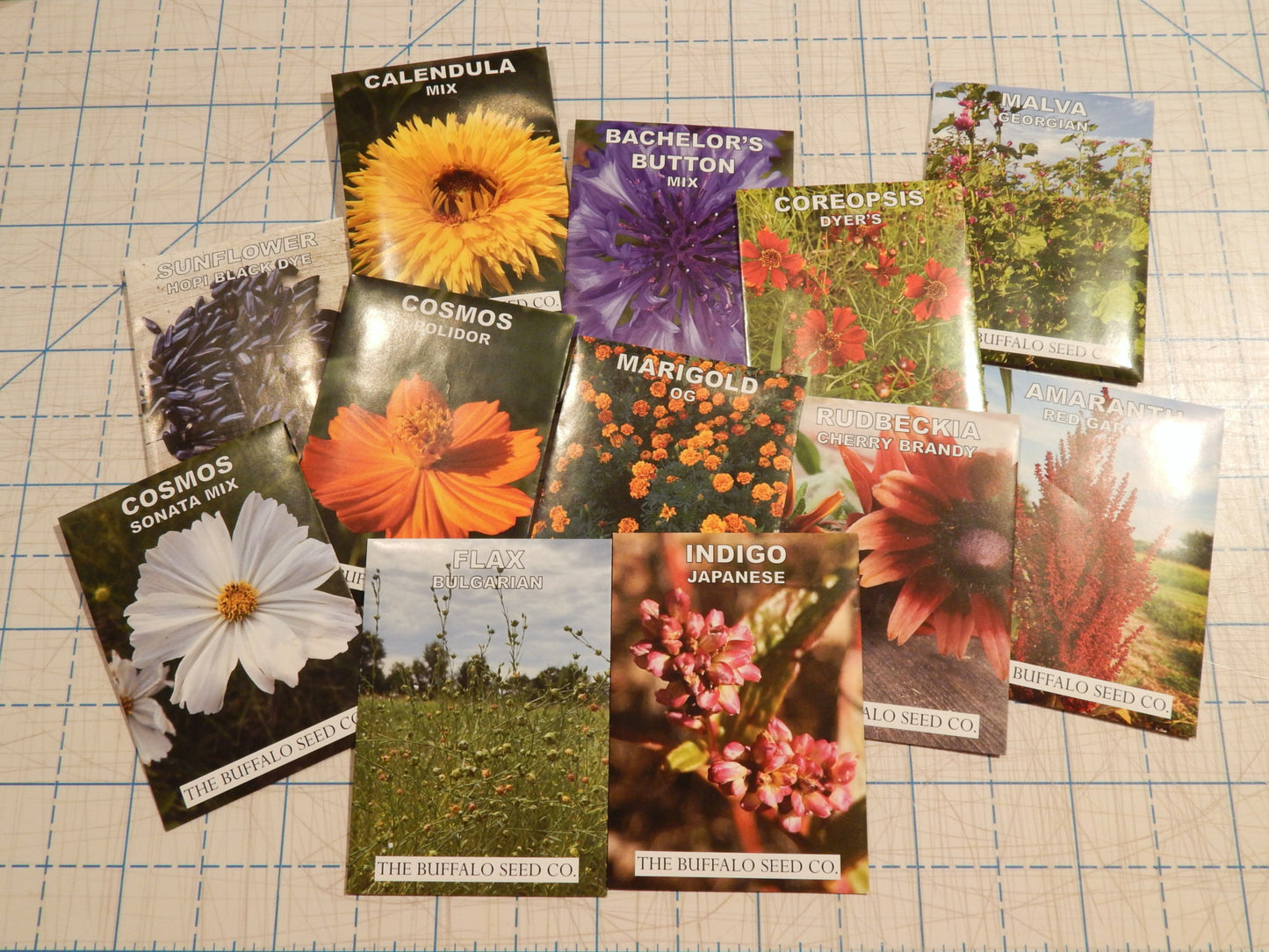 Grow Your Own Natural Dye/Fiber Seeds - Buffalo Seed Company