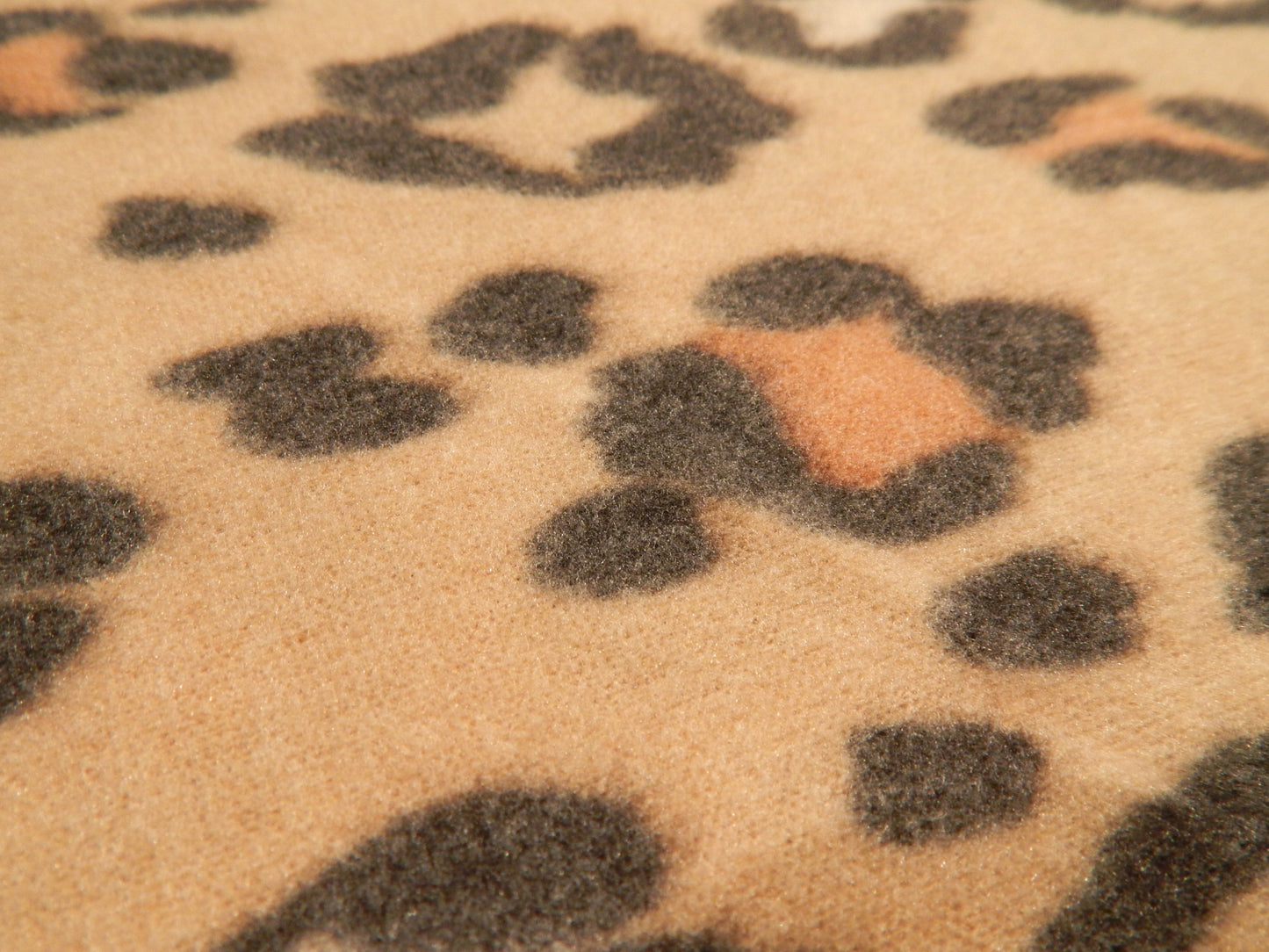 Cheetah Print Brushed Sweater Knit