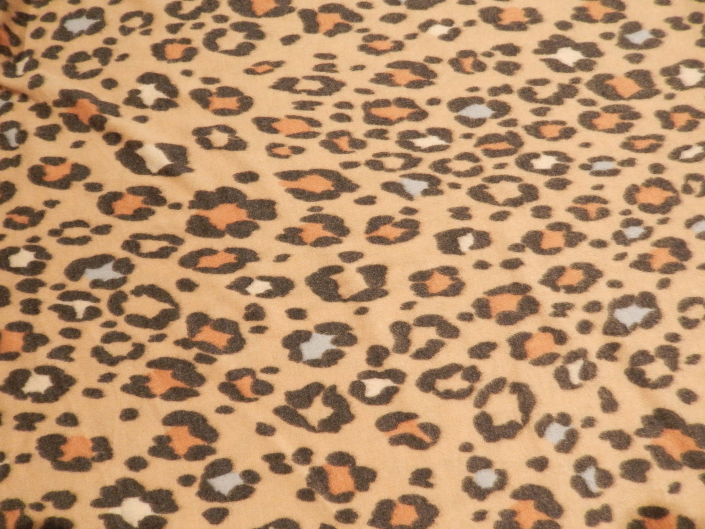 Cheetah Print Brushed Sweater Knit