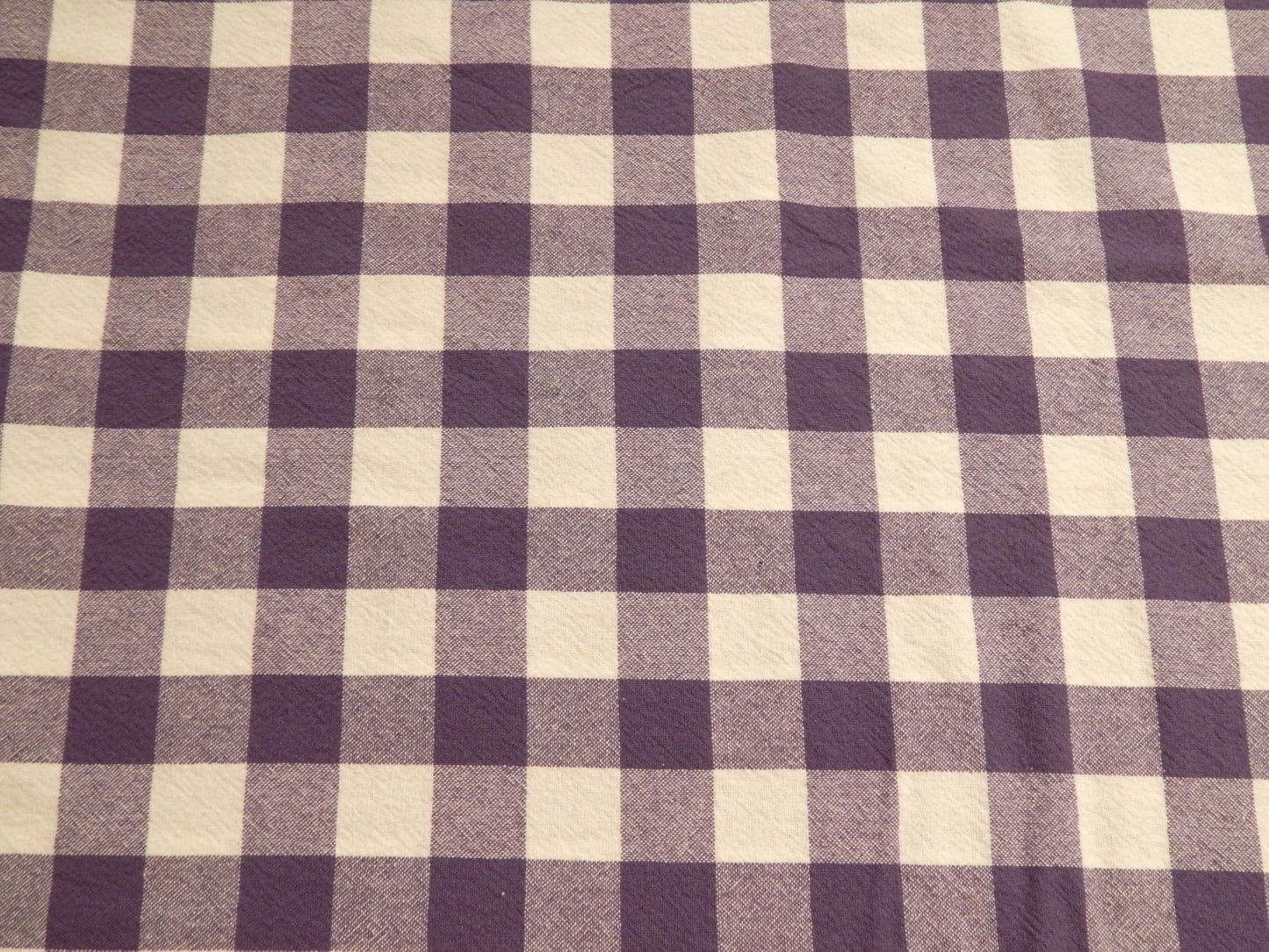 100% Organic Cotton Purple Iris and Natural 1" Gingham - Telio