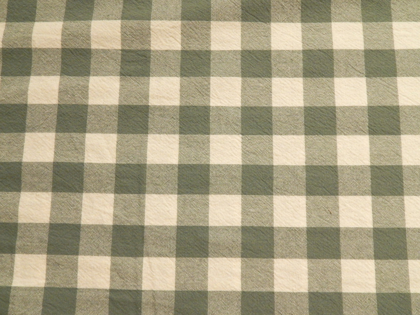 100% Organic Cotton Sage and Natural 1" Gingham - Telio