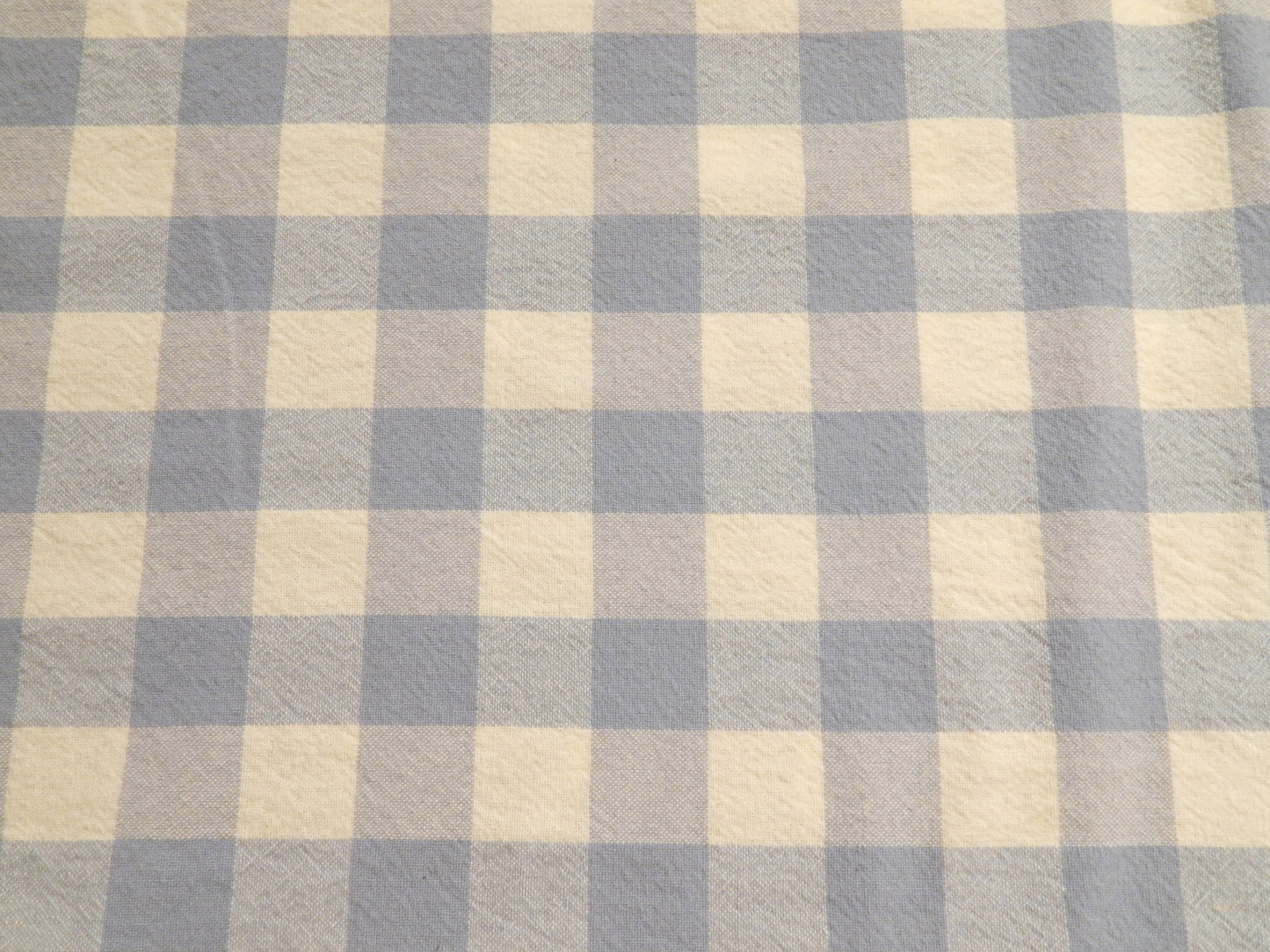 100% Organic Cotton Light Blue and Natural 1" Gingham - Telio