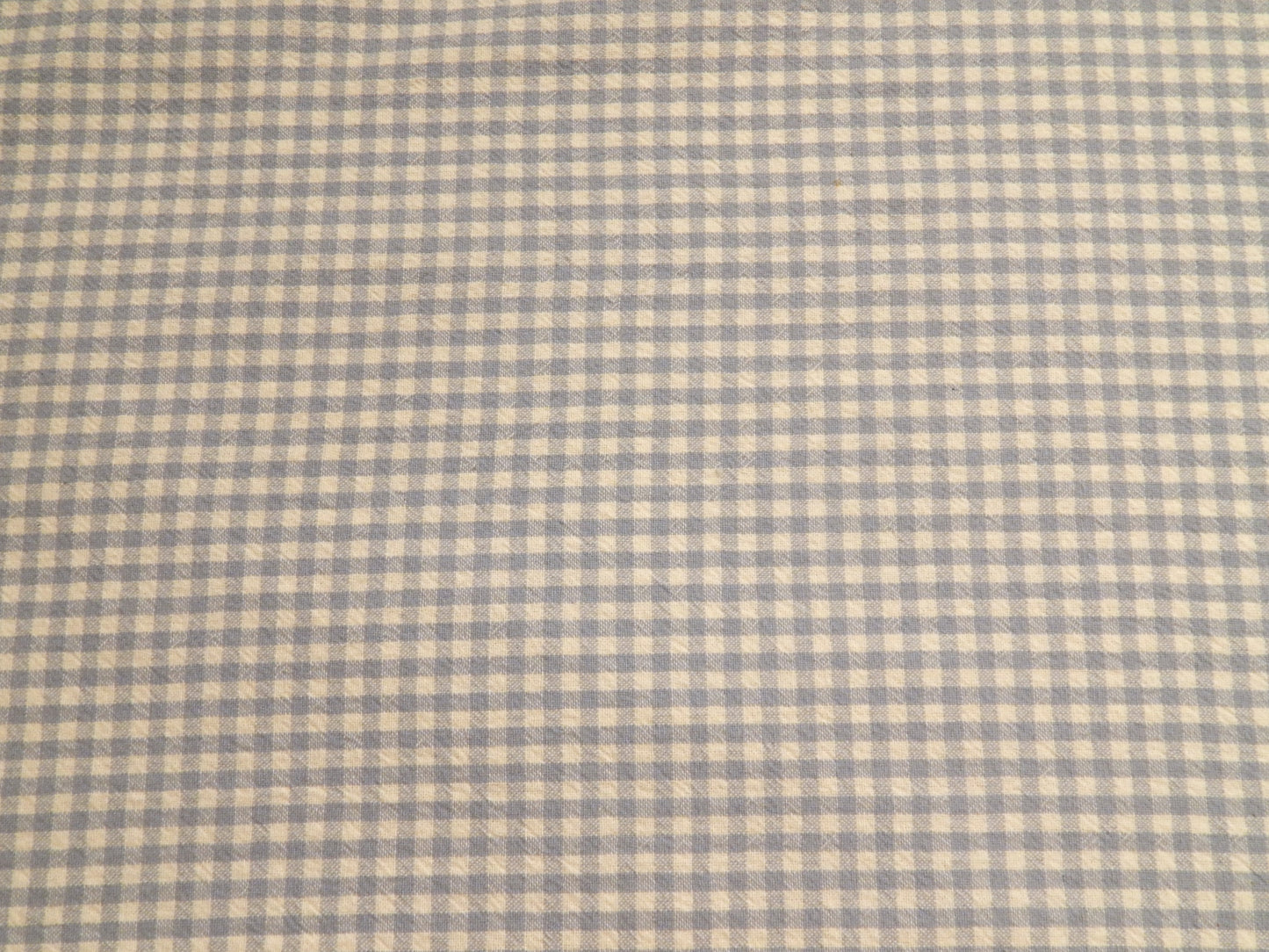 100% Organic Cotton Light Blue and Natural 1/4" Gingham - Telio