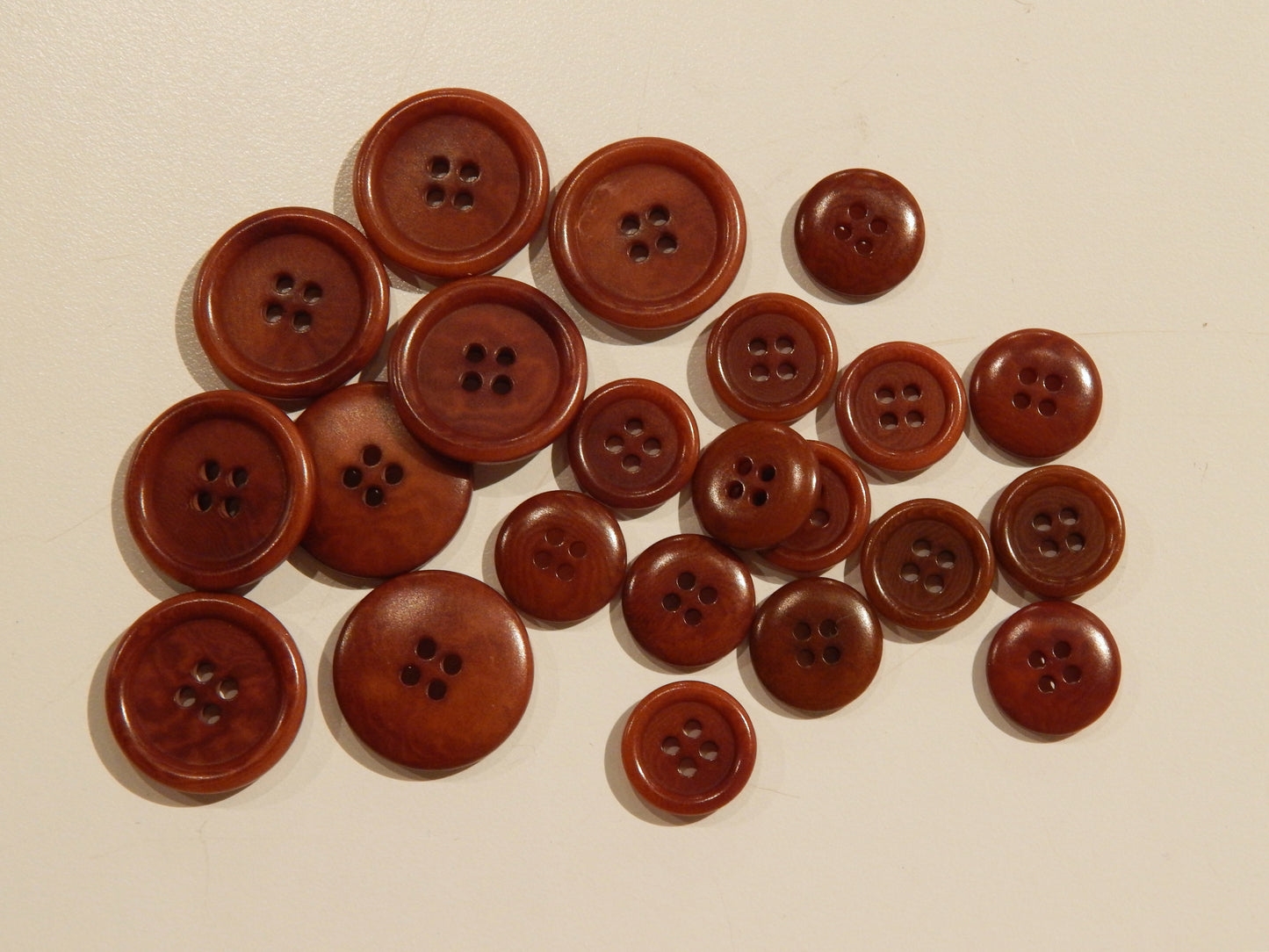 brown corozo natural brown palm seed kernel sustainable buttons multiple sizes
