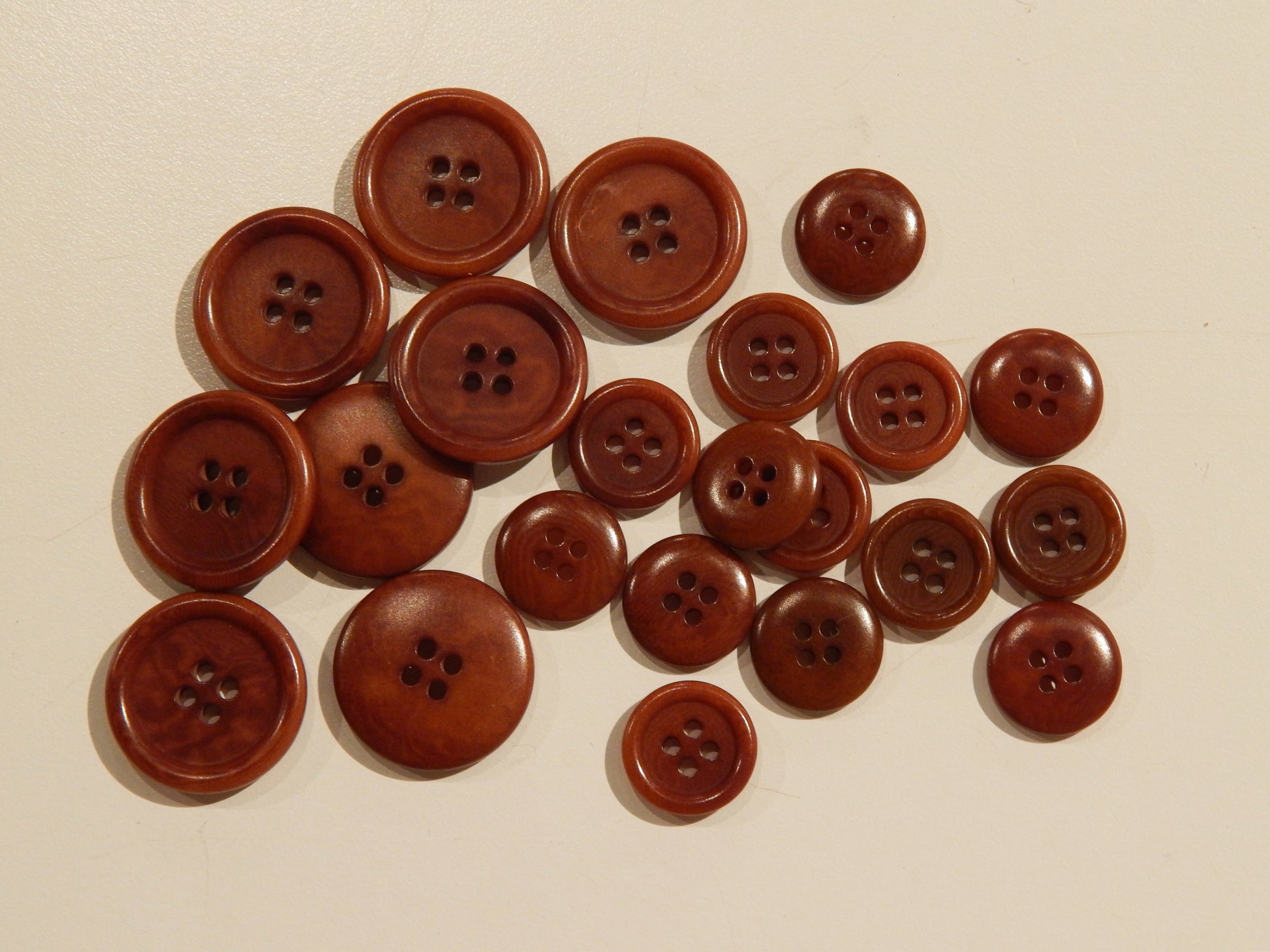 brown corozo natural brown palm seed kernel sustainable buttons multiple sizes