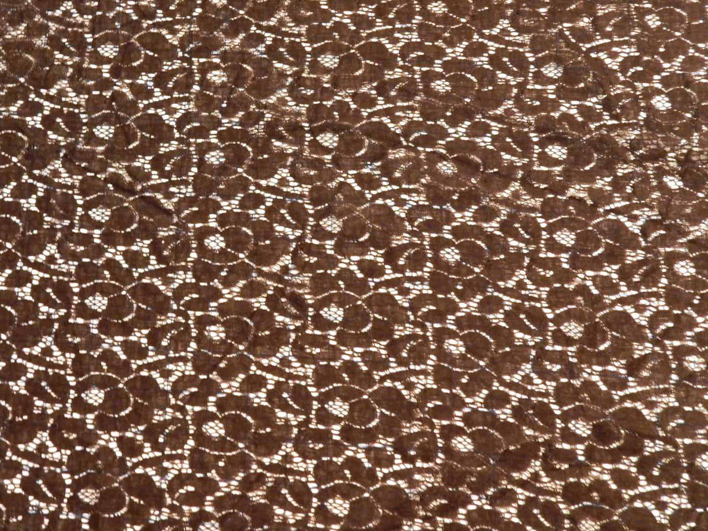 Chocolate Brown Cotton Nylon Lace