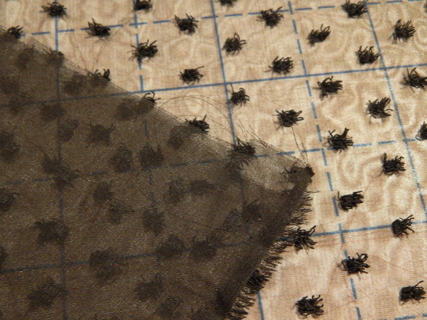 Black Swiss Dot Chiffon