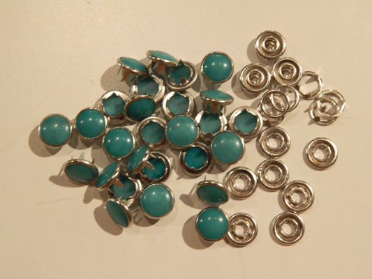 Western Marbled Turquoise Snaps