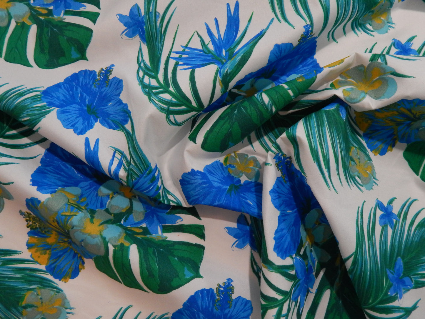Tropical Blue Fabric