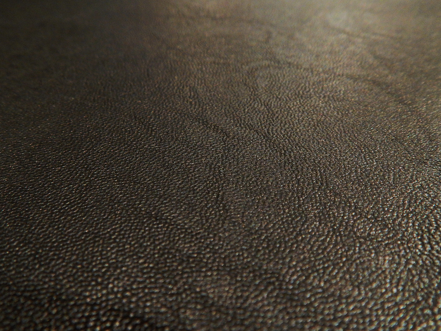 Black Perfecto Faux Leather - Telio
