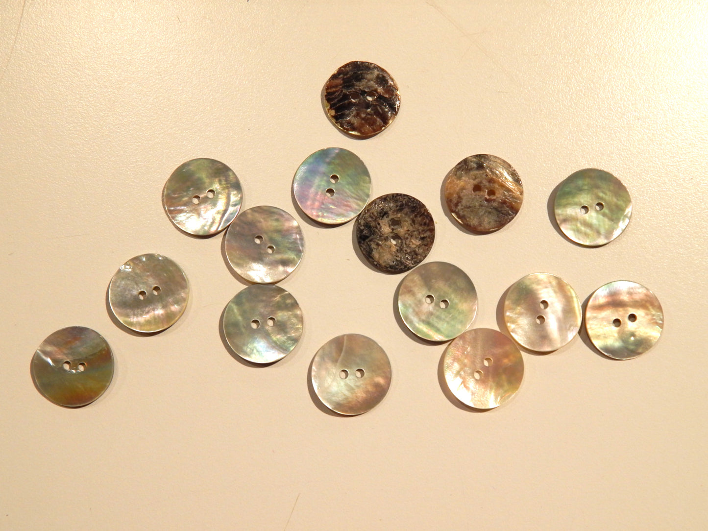 Tan Agoya Shell Buttons - Multiple Sizes