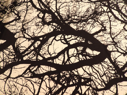 Black and White Tree Silhouette Silk Satin
