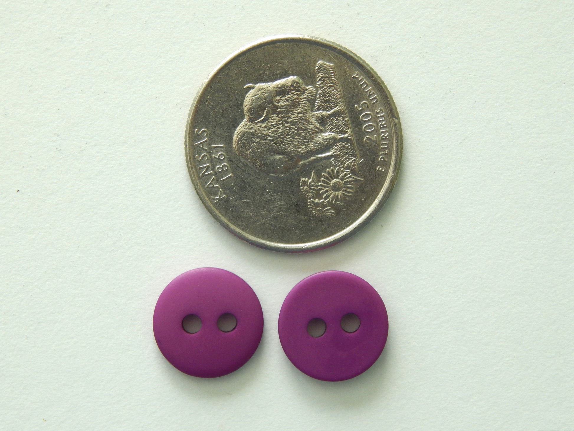 wine purple craft buttons