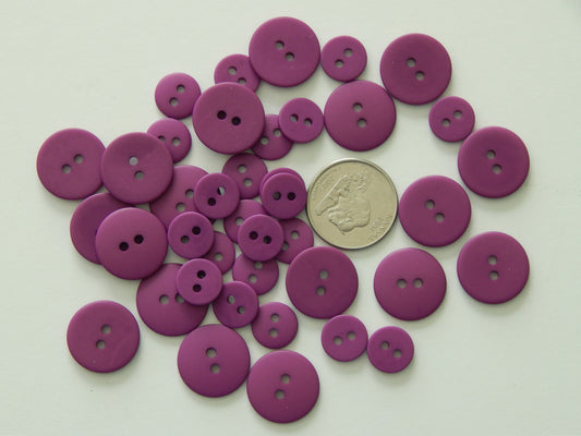 violet buttons