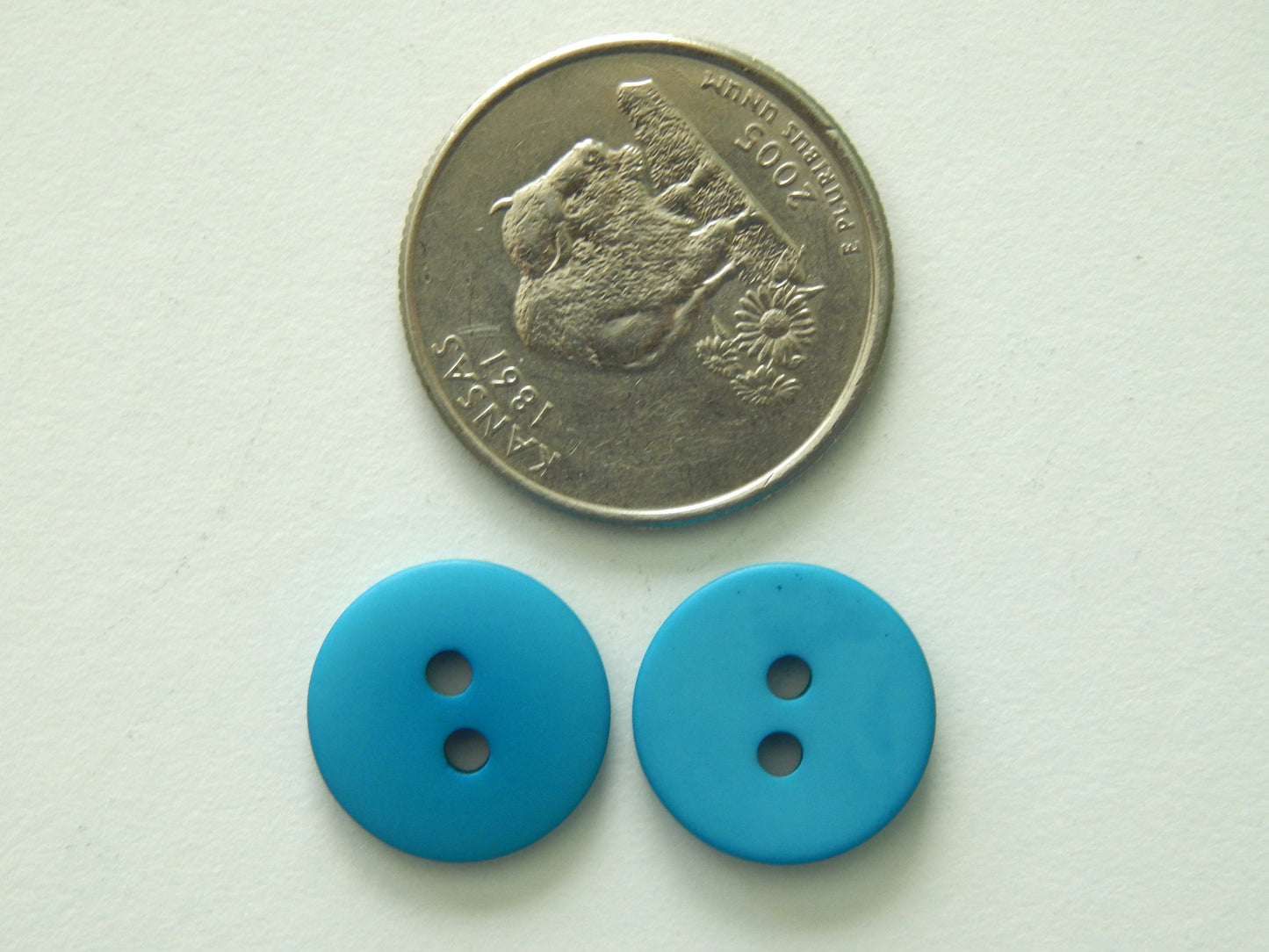 electric blue shirting buttons