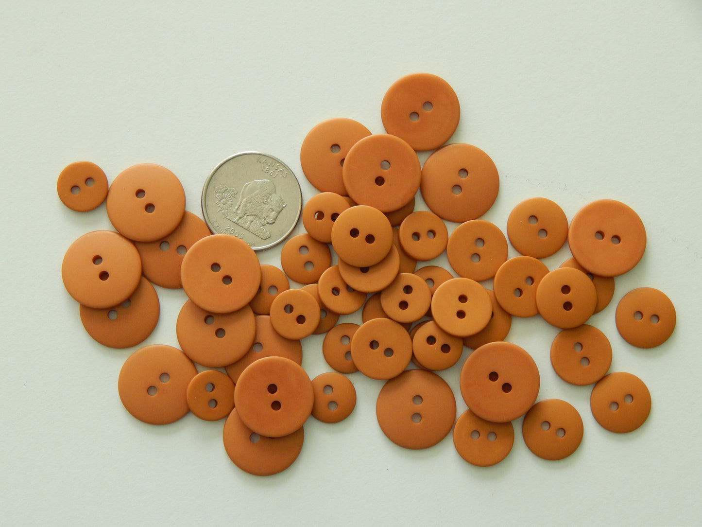 dark tan plastic buttons