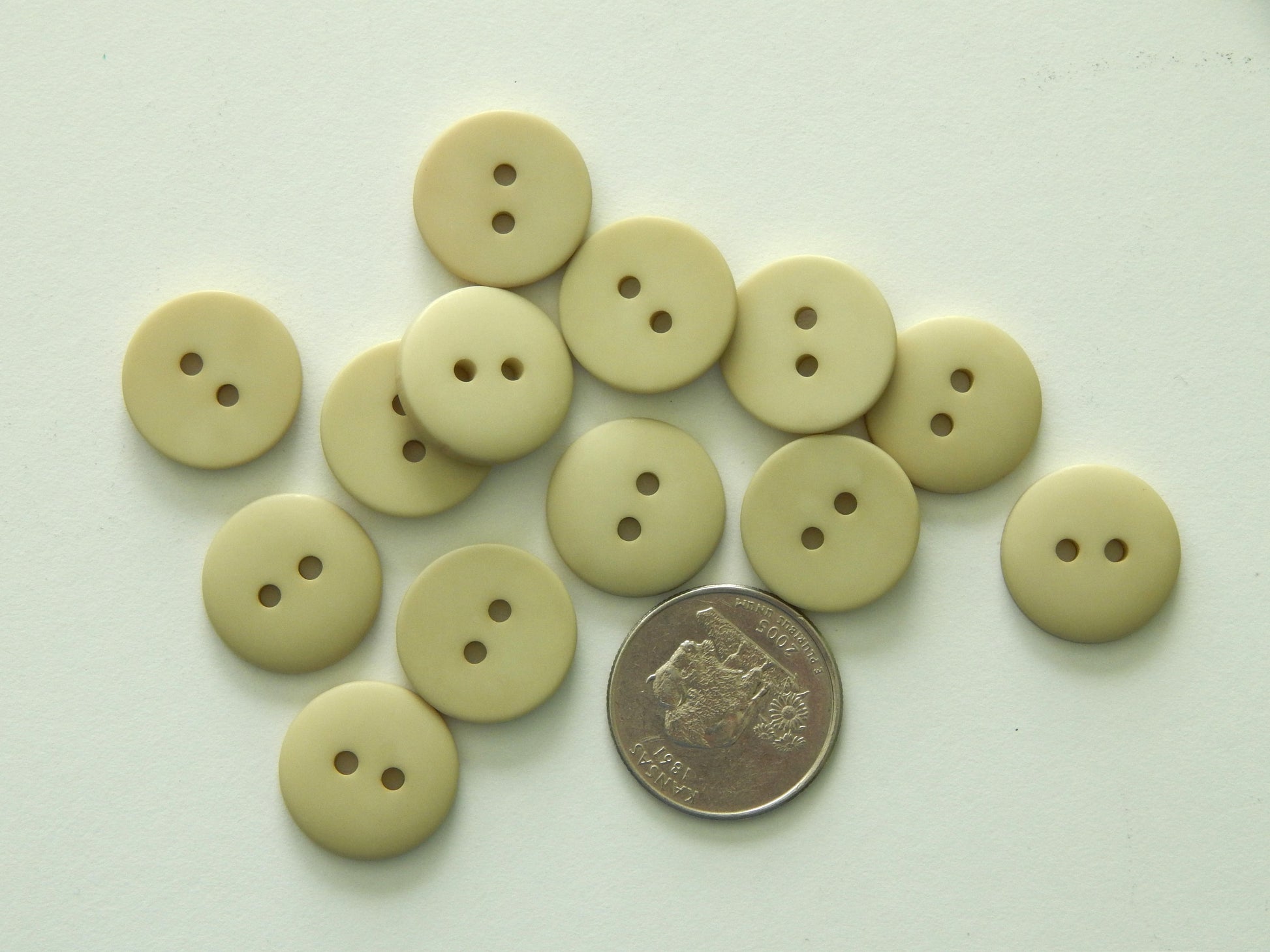 Beige plastic buttons