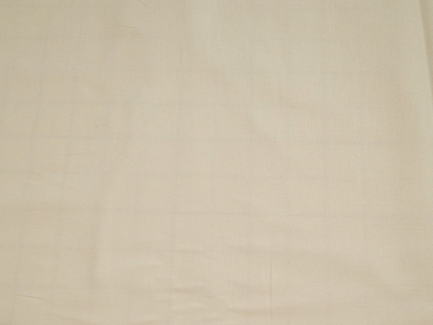 Painter's Palette Cotton Fabric - White