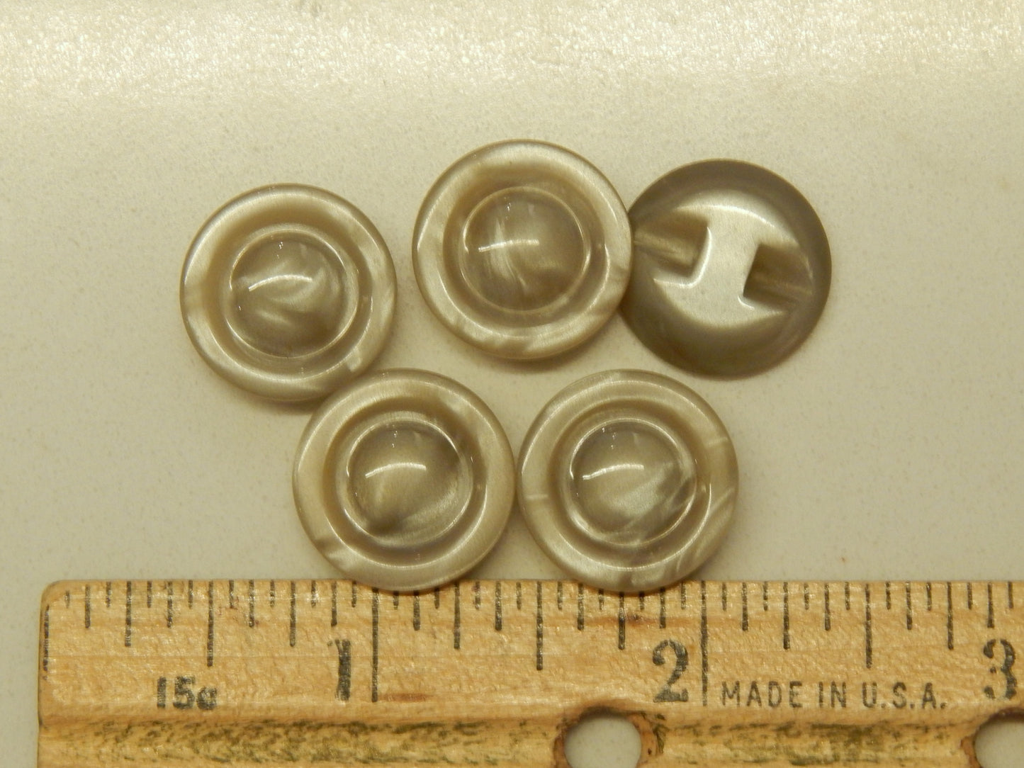 Gray Beveled Shell Buttons