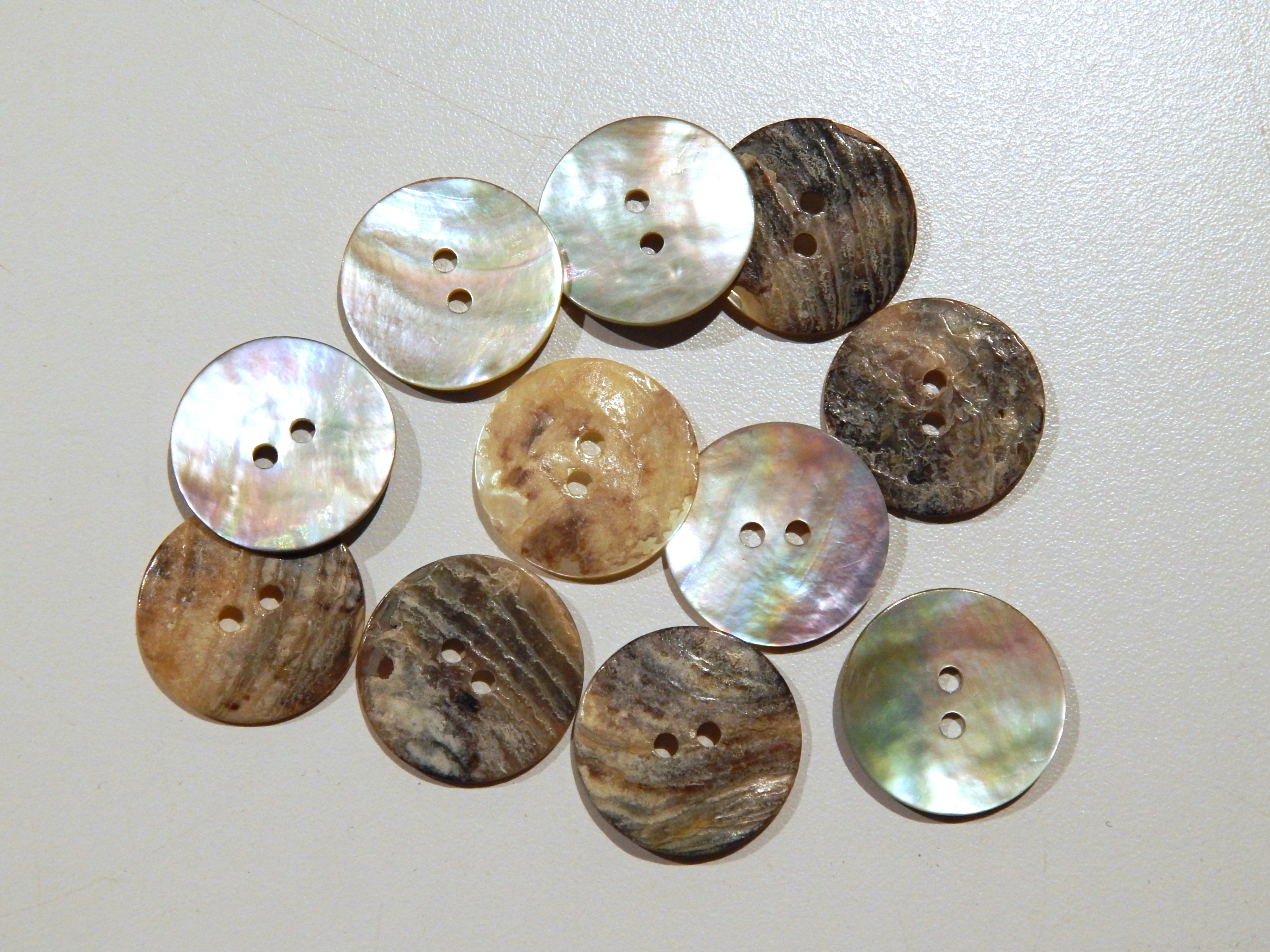 Natural Agoya Shell Buttons - 13/16" – Legacy Fabrics