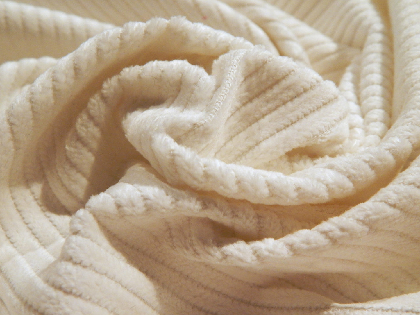 Ivory Cotton Corduroy - 6 Wale