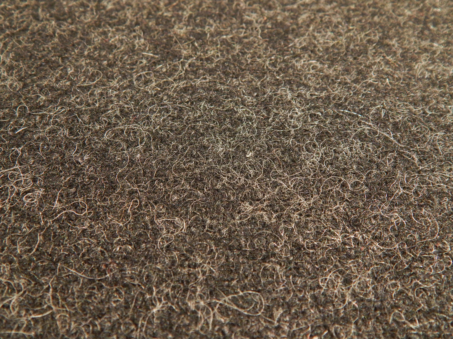 Charcoal Fuzz Wool Melton