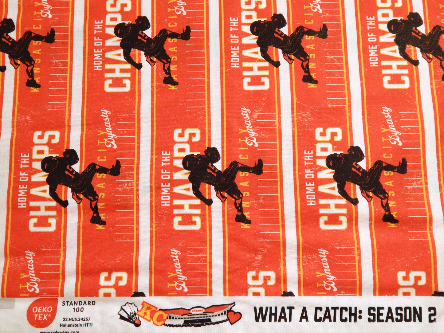 What a Catch: Home of the Champs - Paintbrush Studio