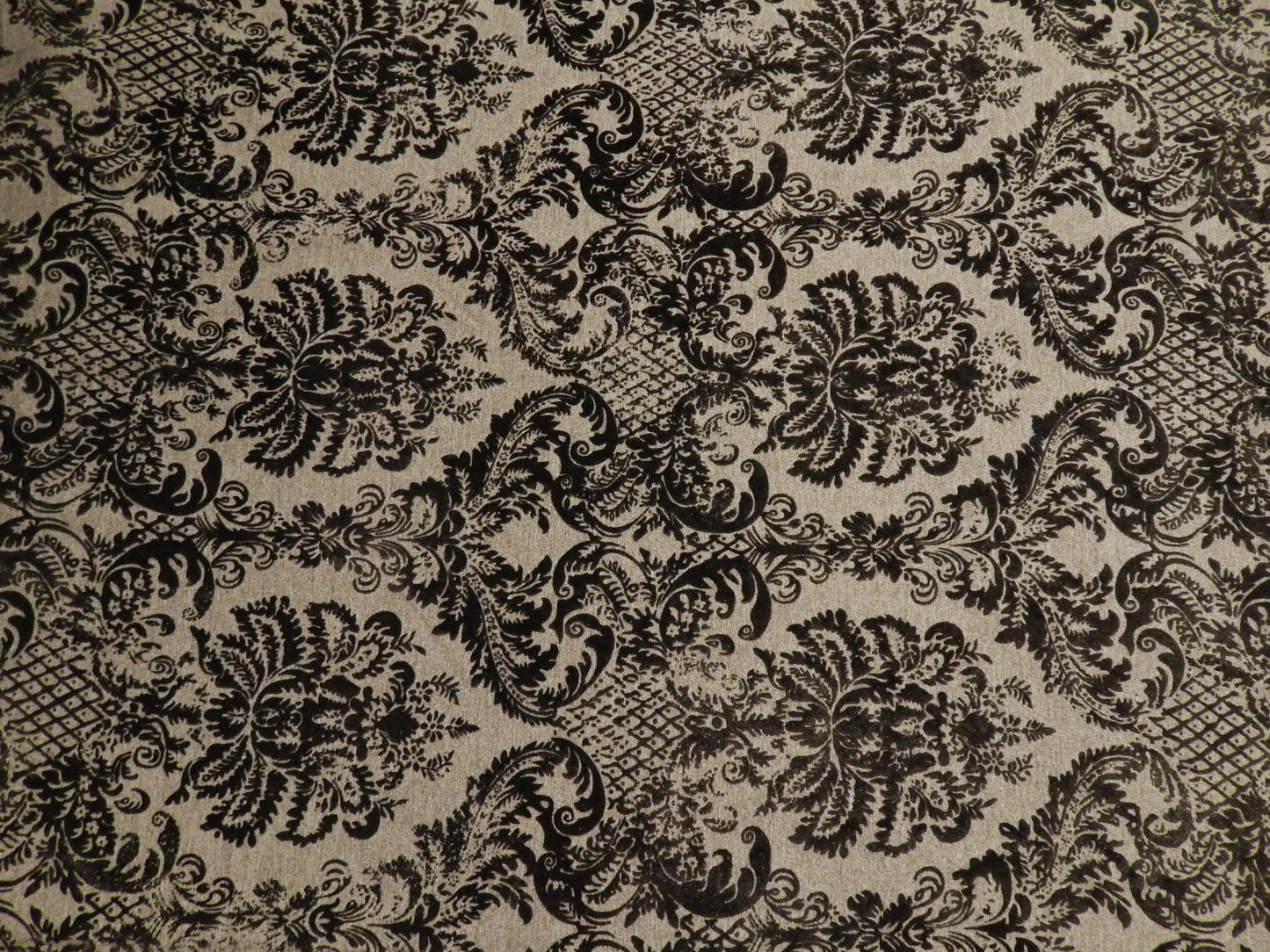 Enchanted Midnight Velvet Flocked Grey & Black Interlock