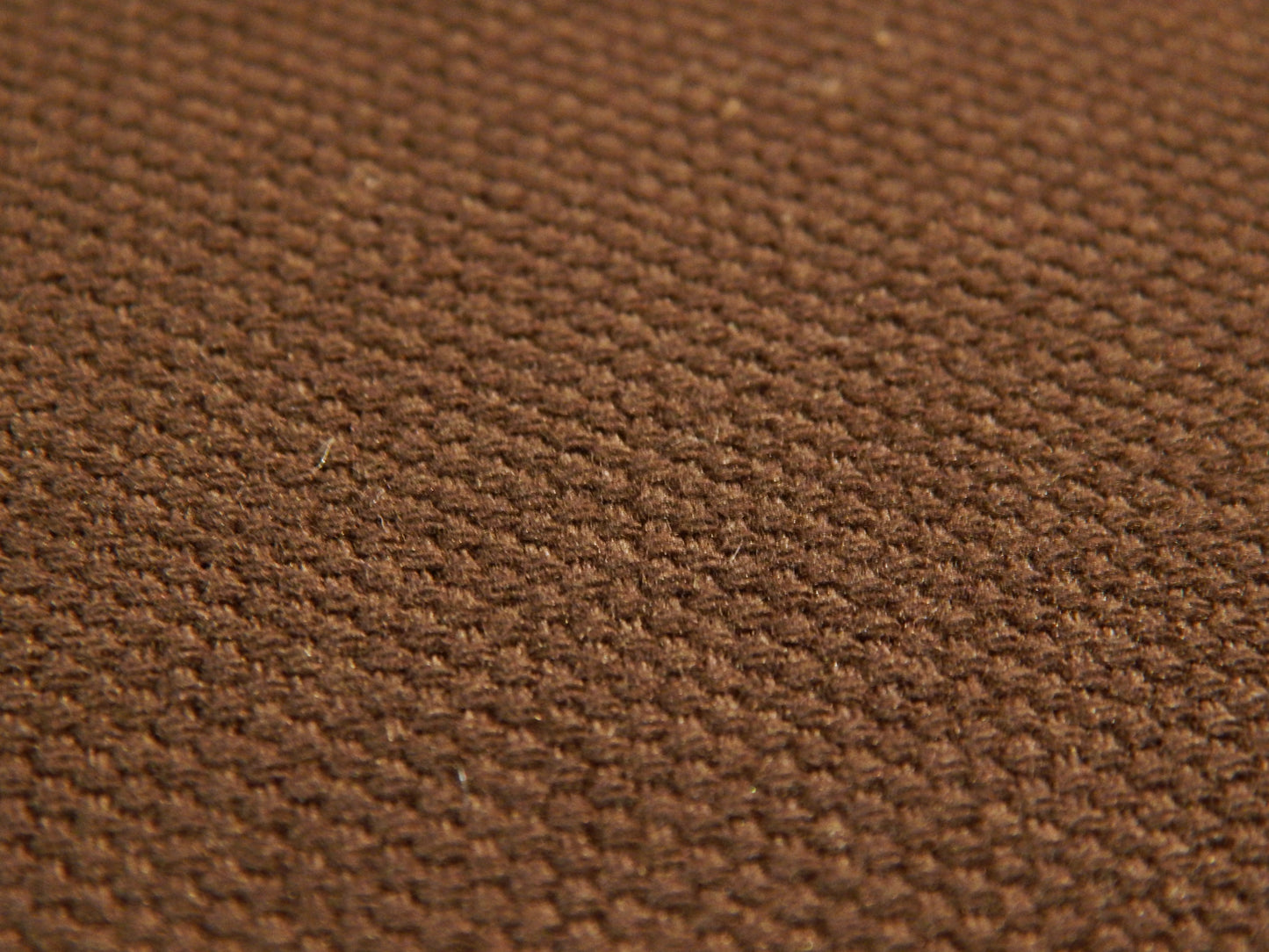 Brushed Dark Olive/Brown Cotton Canvas