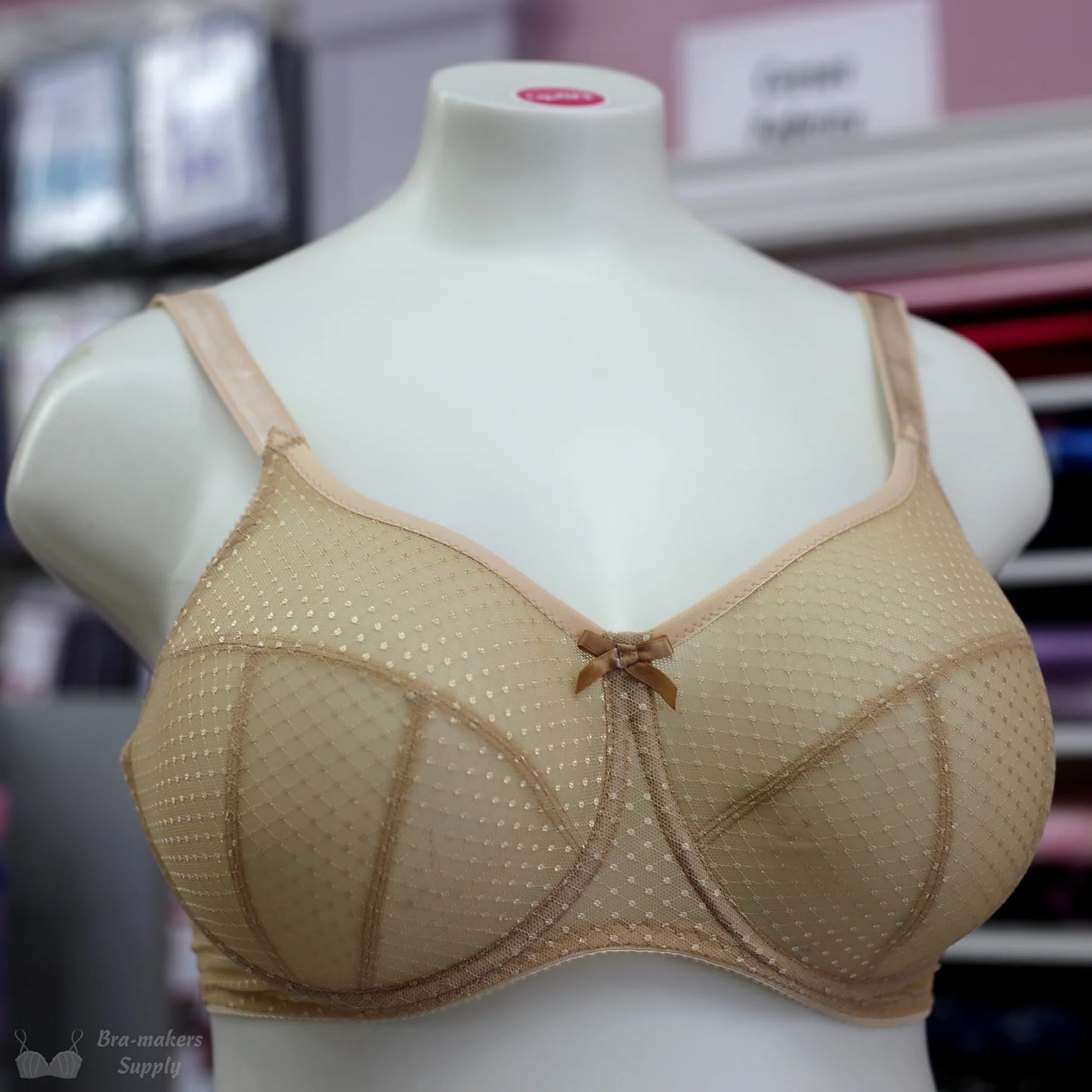 The Ruby Underwired Bra Class w/ Gigi's Bra Supply